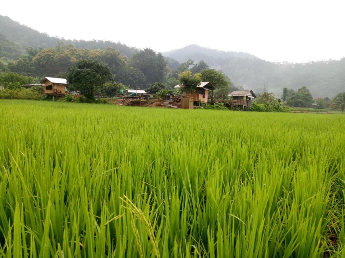 Samoeng Fishing Park Home Stay Exterior photo