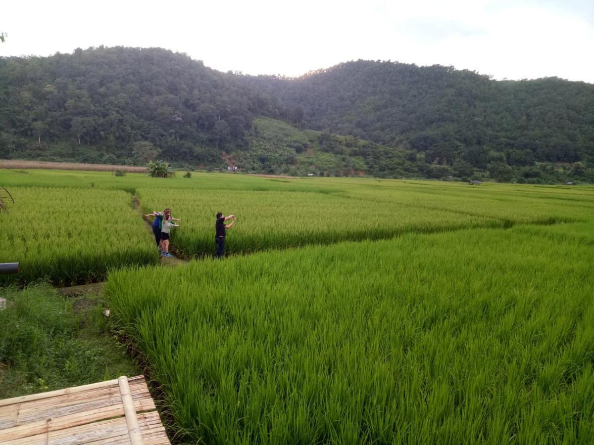 Samoeng Fishing Park Home Stay Exterior photo